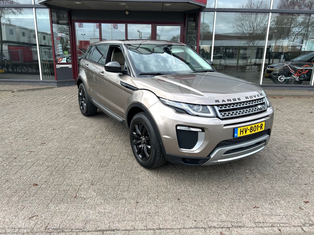 51861004